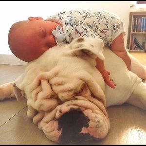 Meet your Posher, Hilary